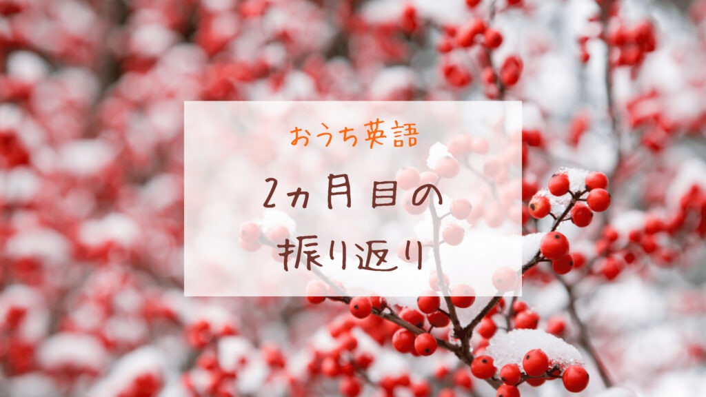 おうち英語2ヶ月目 Dweメソッドの効果を確信ー2歳0ヶ月 0歳3ヶ月ー きょうだいえいご