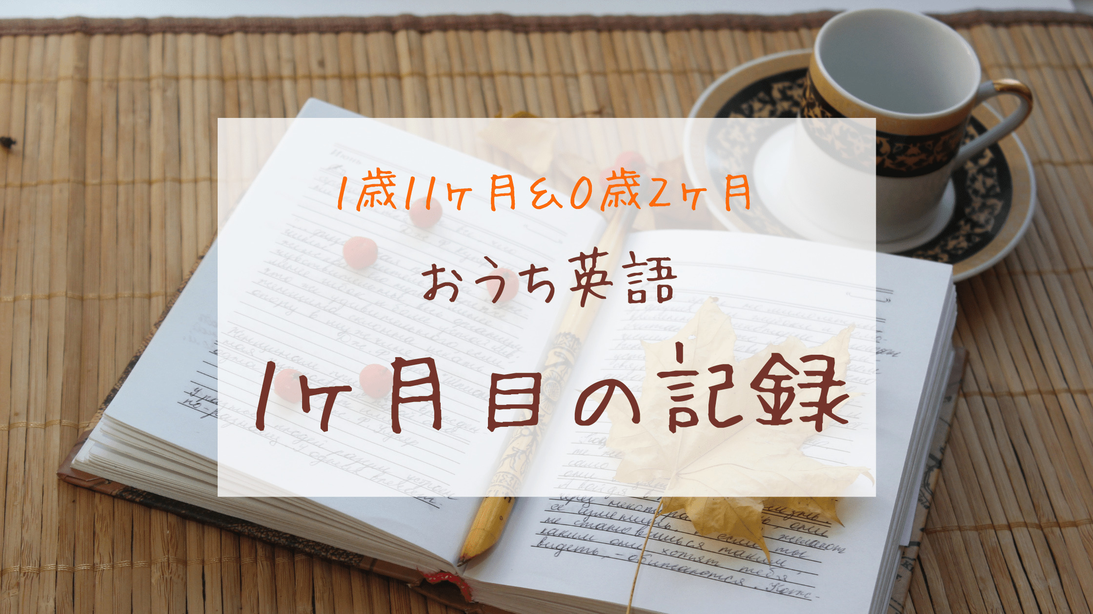 おうち英語1ヶ月目 かけ流しが奏功したー1歳11ヶ月 0歳2ヶ月ー きょうだいえいご