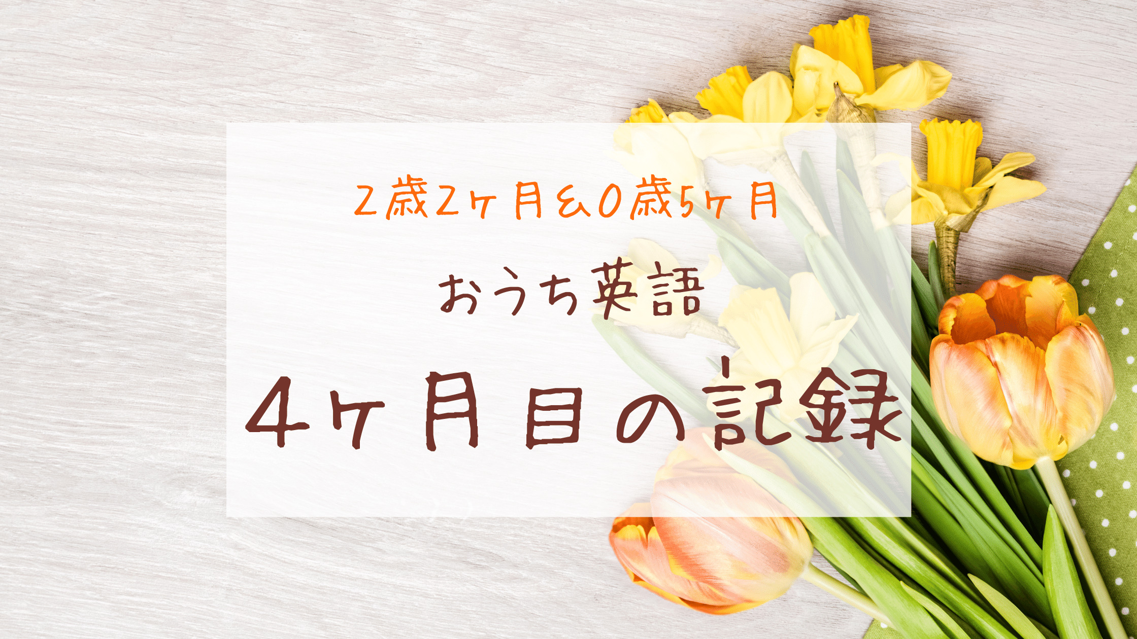 おうち英語4ヶ月目 英語絵本を自分で読み始めた ー2歳2ヶ月 0歳5ヶ月ー きょうだいえいご