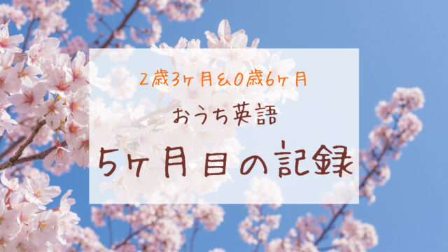 おうち英語5ヶ月目 Dwe以外を投入し過ぎた ー2歳3ヶ月 0歳6ヶ月ー きょうだいえいご