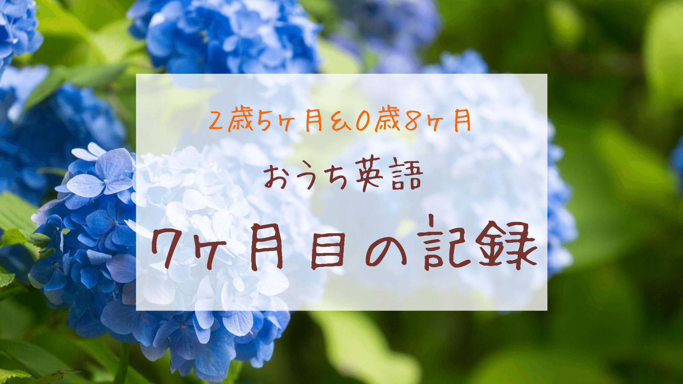 おうち英語7ヶ月目 おうち英語の真価を感じるー2歳5ヶ月 0歳8ヶ月ー きょうだいえいご